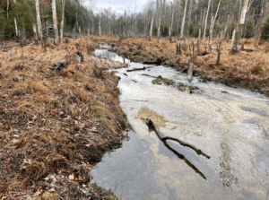 South Fork of Roaring Creek flowing through Weiser State Forest