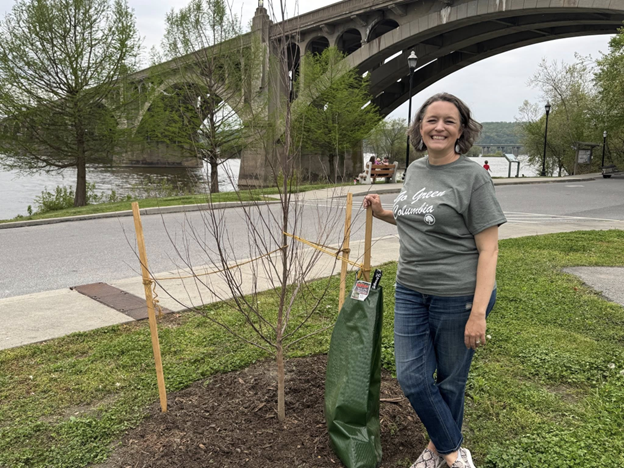 Former Shade Tree Commission Chair Amy Evans, AICP, with the new river birch planted on Arbor Day in her honor.