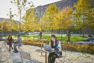 People sitting outdoors in a parklike setting while using laptops and other social technology.