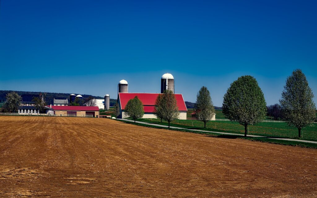 A row of trees approaching a farm with several red-roofed buildings and two silos with an uncultivated field on the left